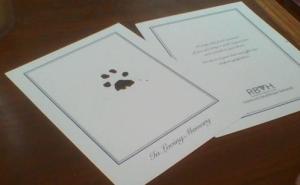 Paw Prints